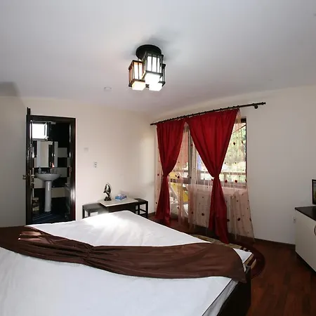 Portile Ocnei Guest house Tirgu Ocna